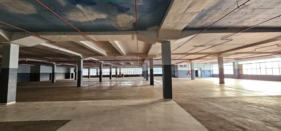 To Let commercial Property for Rent in Elsies River Industrial Western Cape